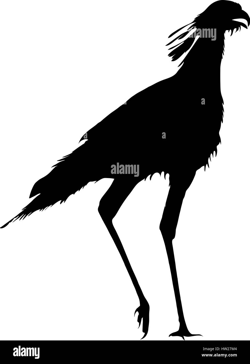 Silhouette di un segretario bird, passeggiate Illustrazione Vettoriale