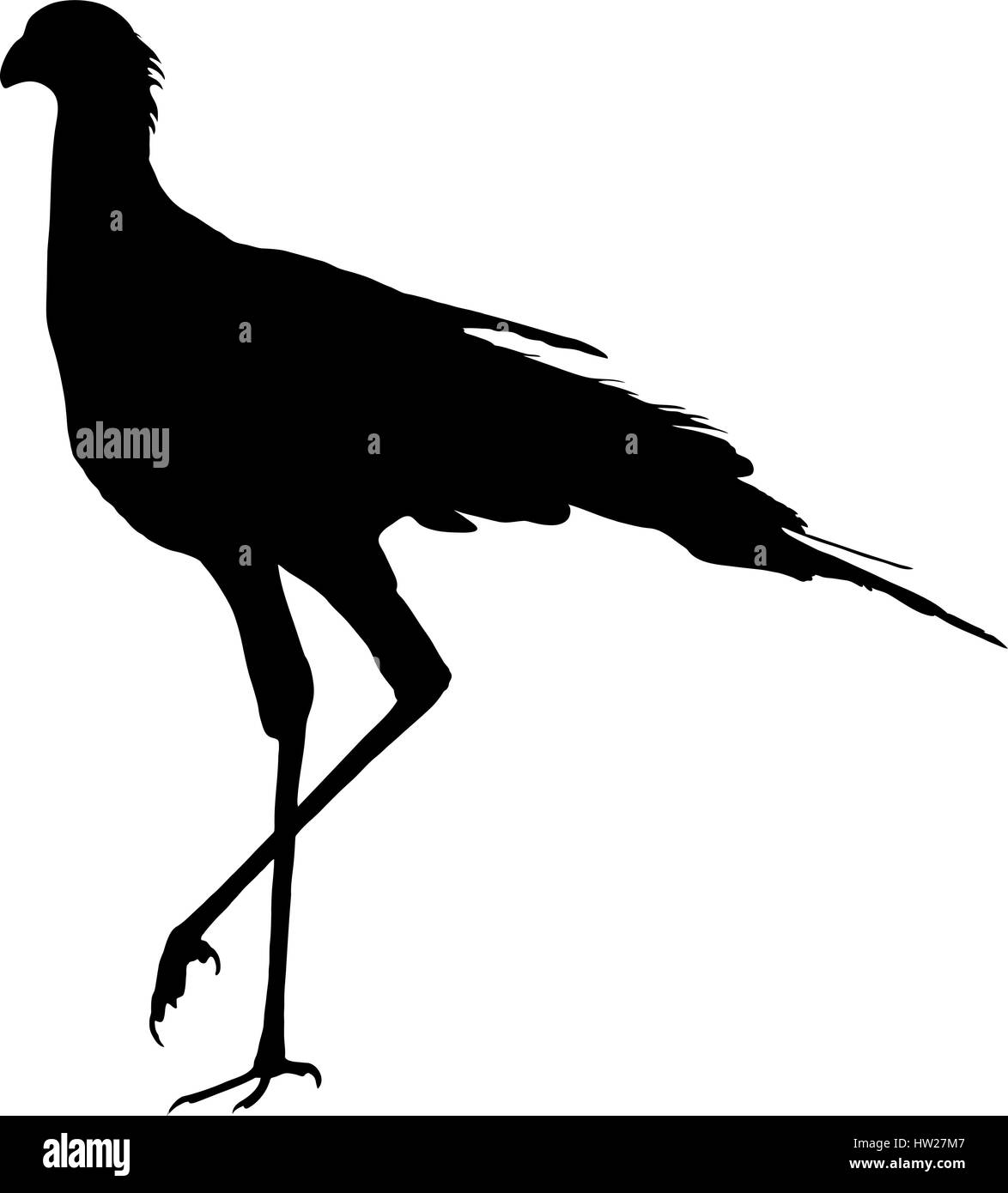 Silhouette di un segretario bird, passeggiate Illustrazione Vettoriale