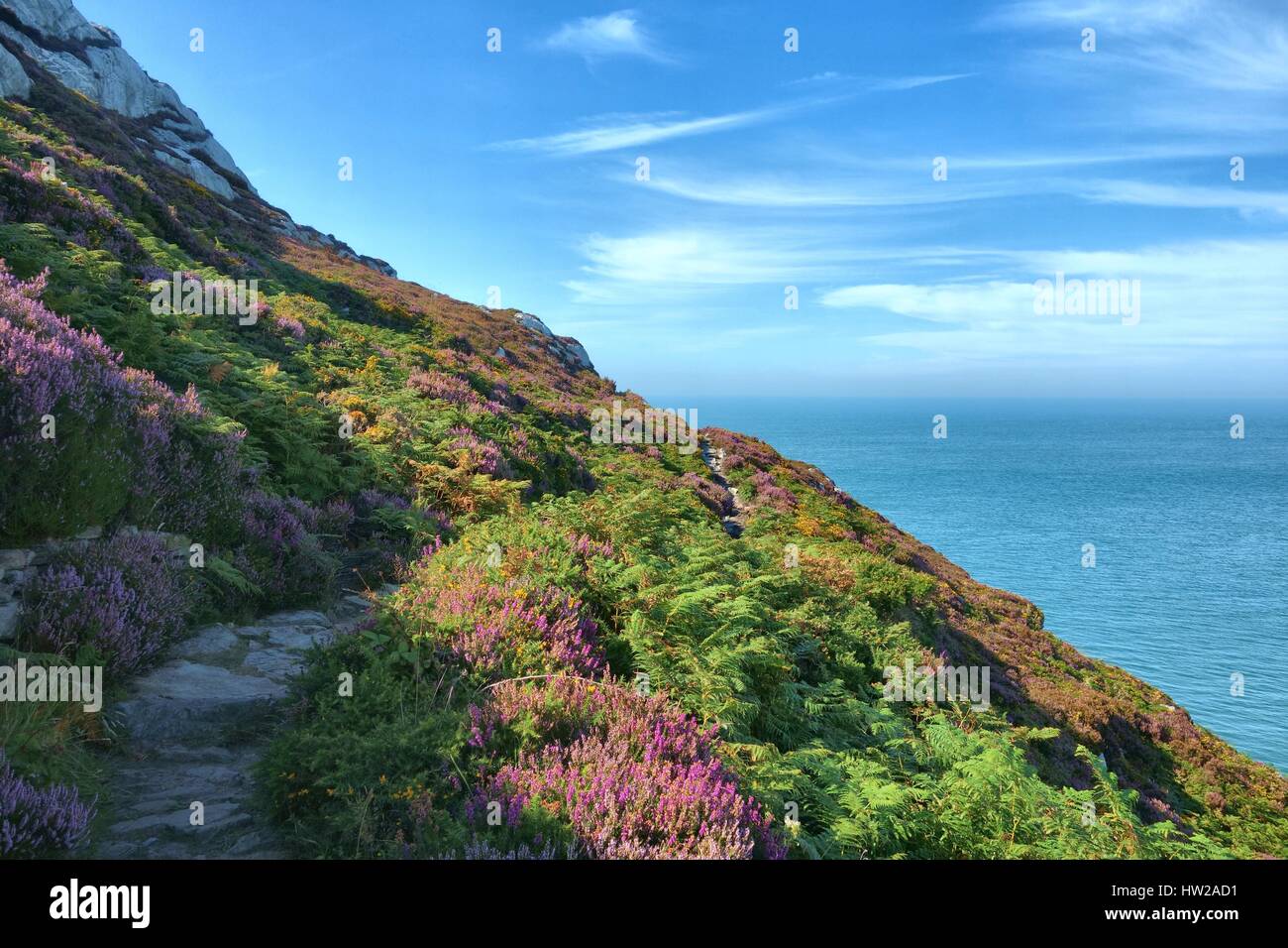 Il Wales coast Path sull'Isola di Anglesey. Foto Stock
