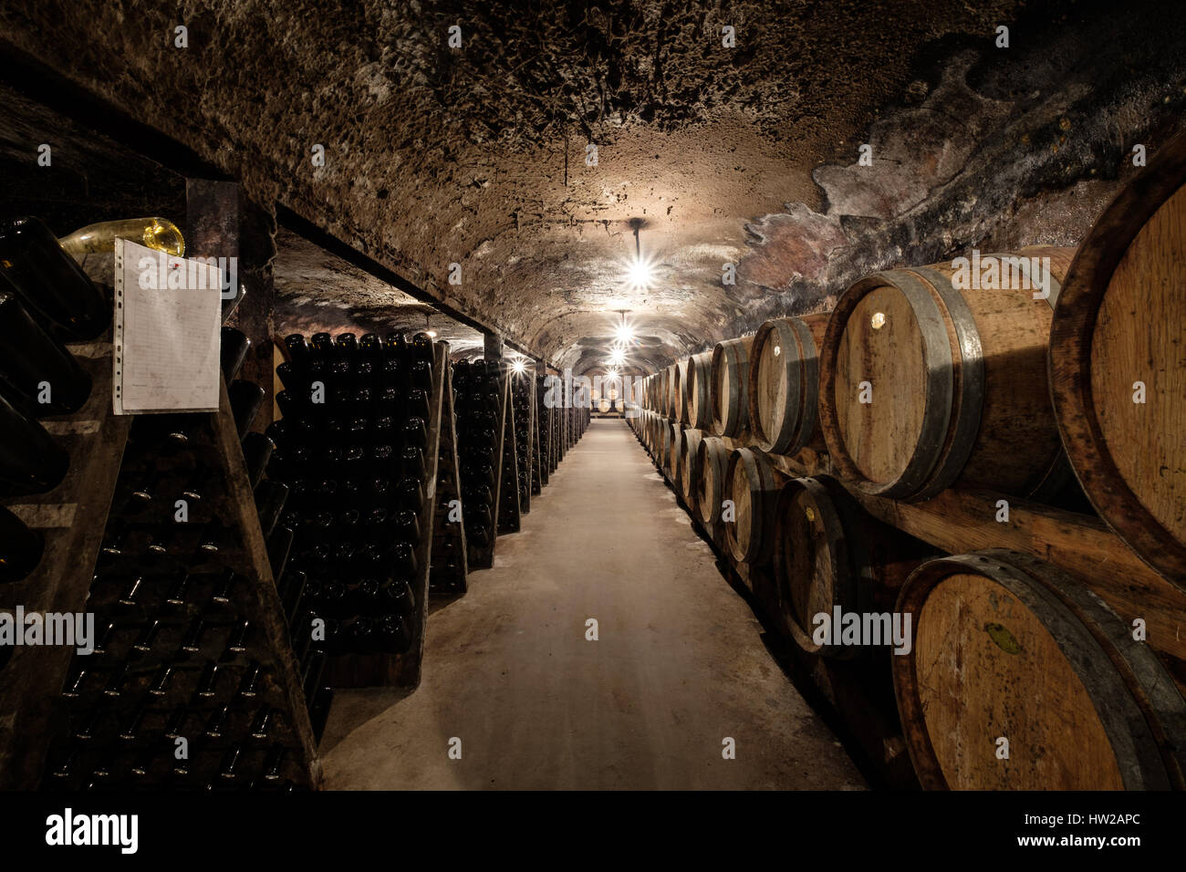 Invecchiamento del vino in botti a Grotte Primavera nella regione di Bairrada del Portogallo, Europa Foto Stock