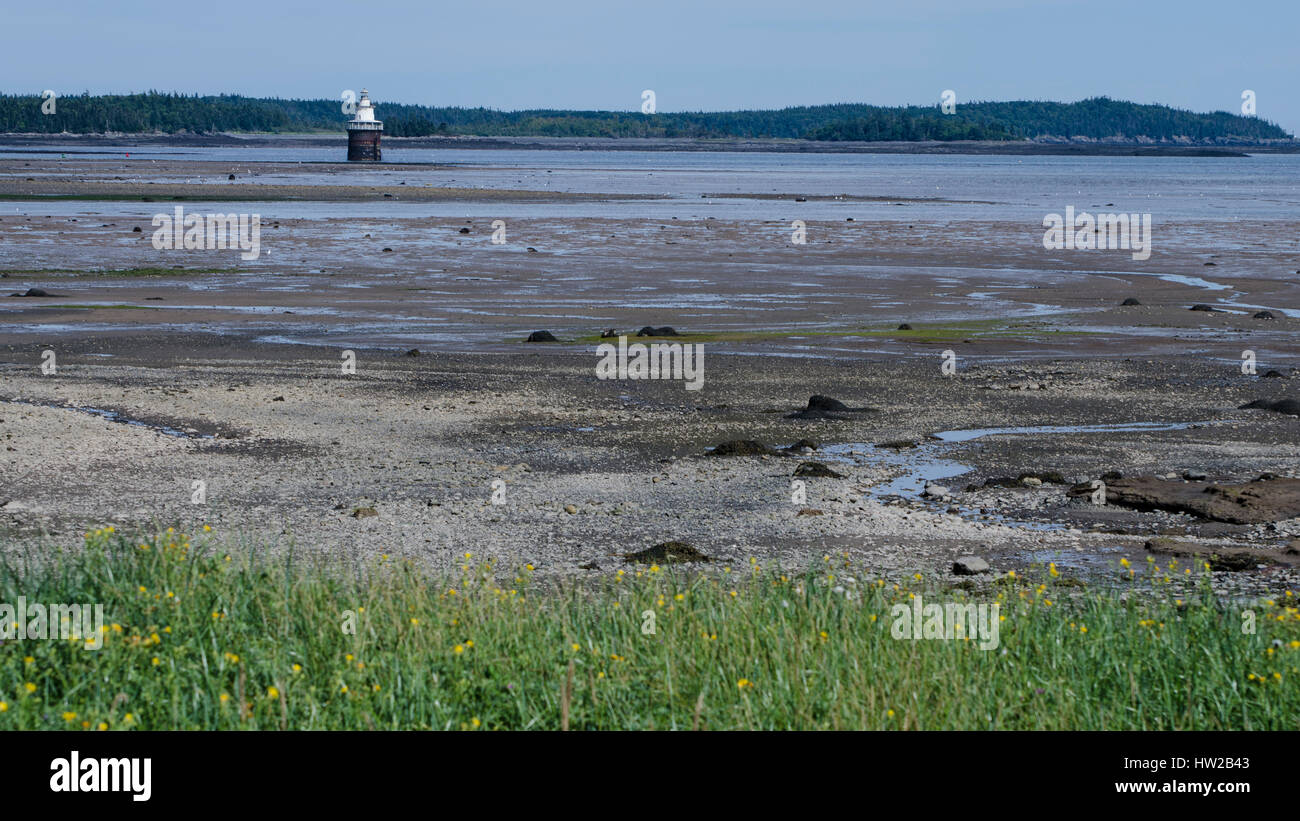 Baia di Fundy faro Foto Stock