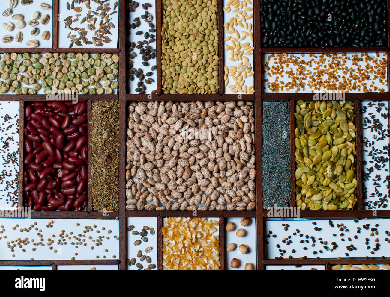 Visualizzazione dei semi secchi, fagioli, mais, per colture commestibili o stagionatura Foto Stock
