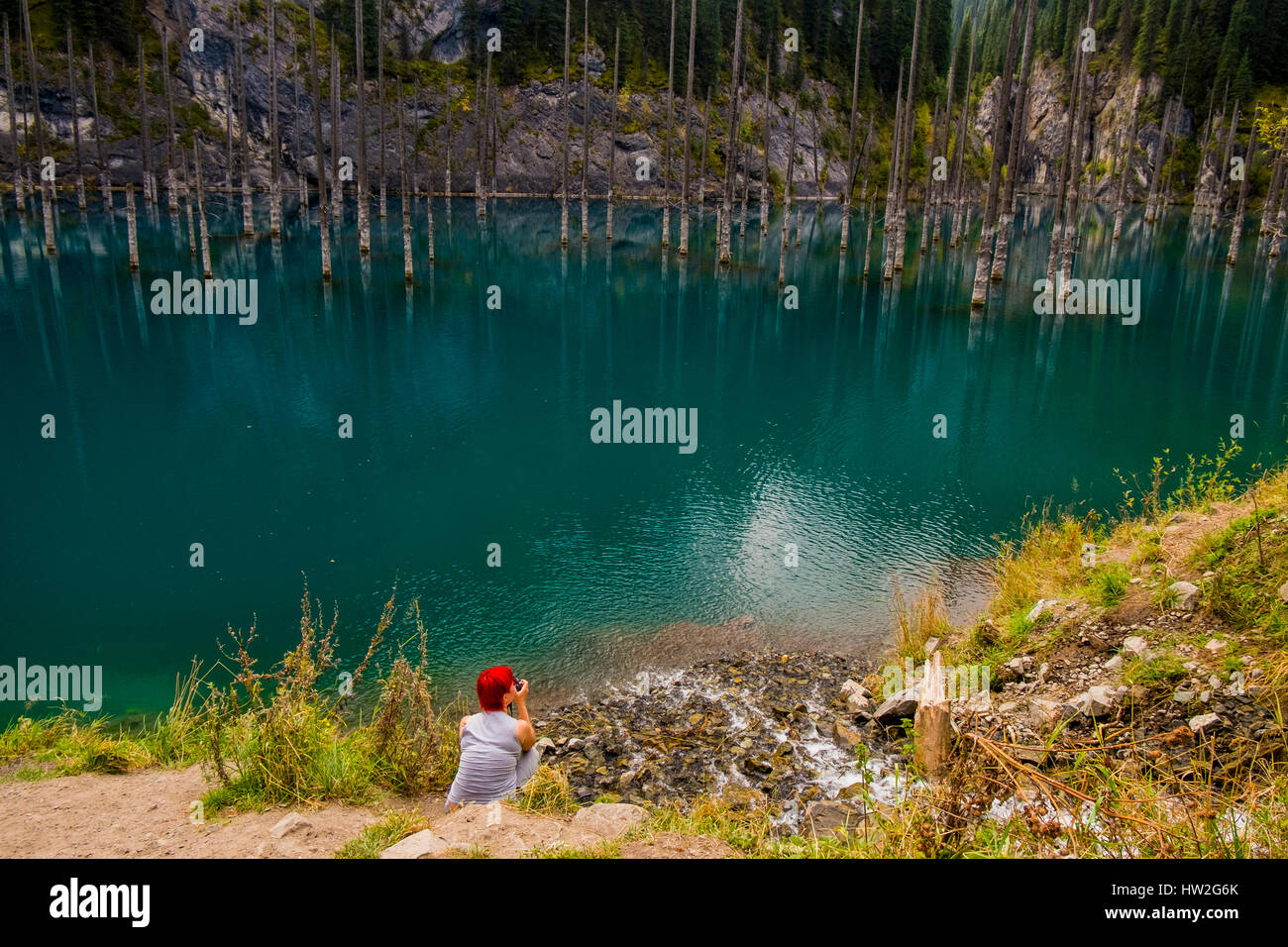 La donna caucasica fotografare gli alberi nel lago Foto Stock