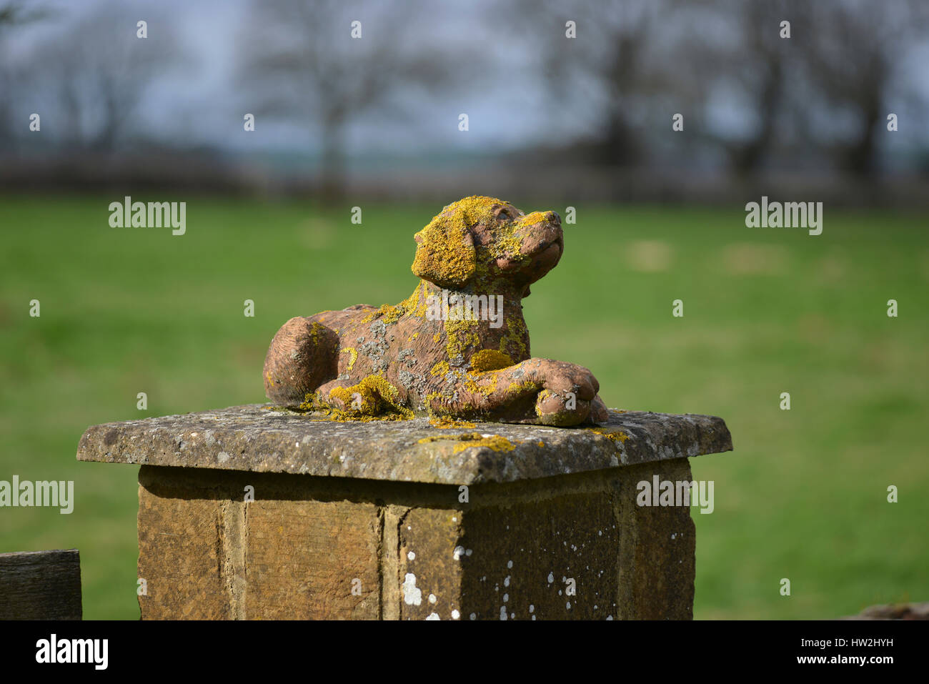 Pietra ornamentale cane sul gatepost vicino a North Oxfordshire village di gancio Norton Foto Stock