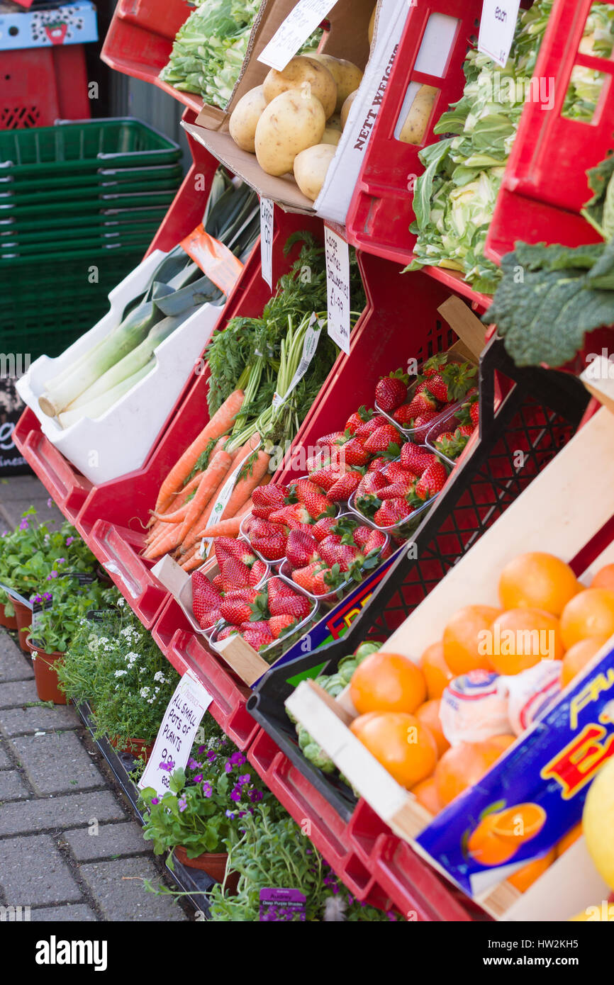Tradizionale di frutta fresca e verdura display sul marciapiede al di fuori di una piccola società britannica indipendente green fruttivendolo Foto Stock