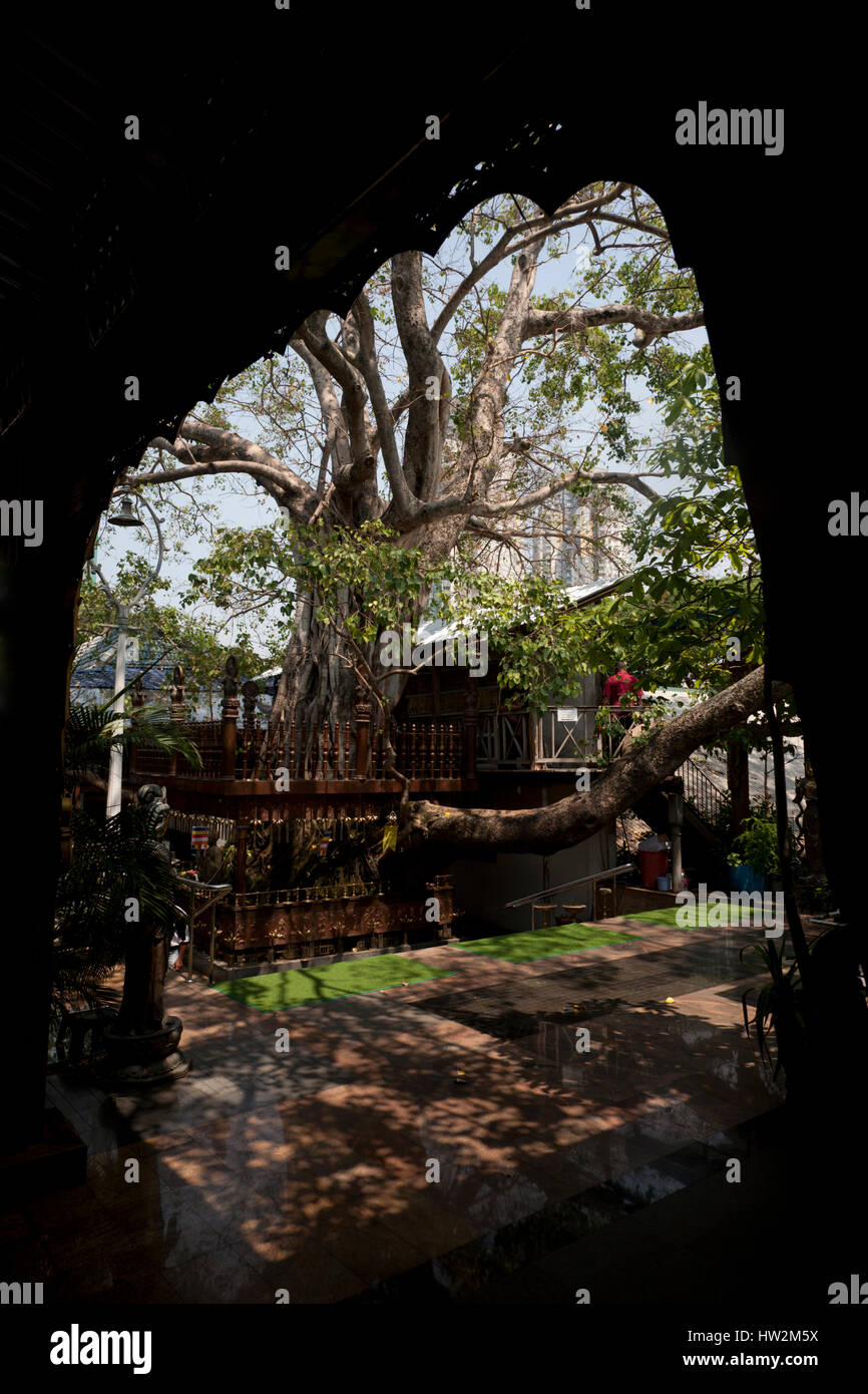 Tempio di gangaramaya colombo sri lanka Foto Stock