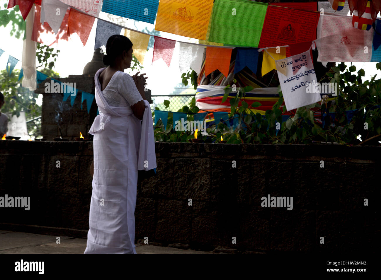 Dambulla Sri Lanka donna orante da Bodhi Tree Foto Stock