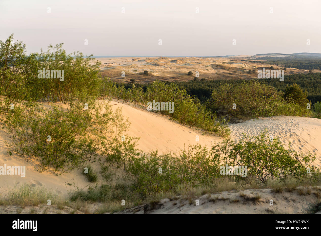 Vista verso sud per il russo - confine lituano dalle dune di Parnidis sul Curonian Spit, Nida, della Lituania, dell'Europa orientale Foto Stock