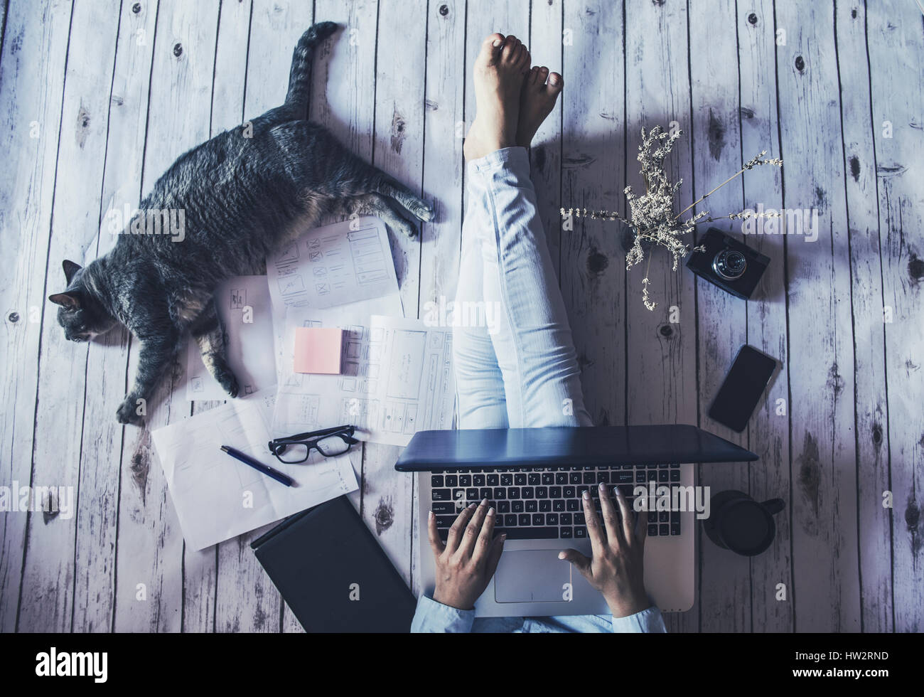 Creative space - ragazza con il suo gatto che lavora da casa. Foto Stock