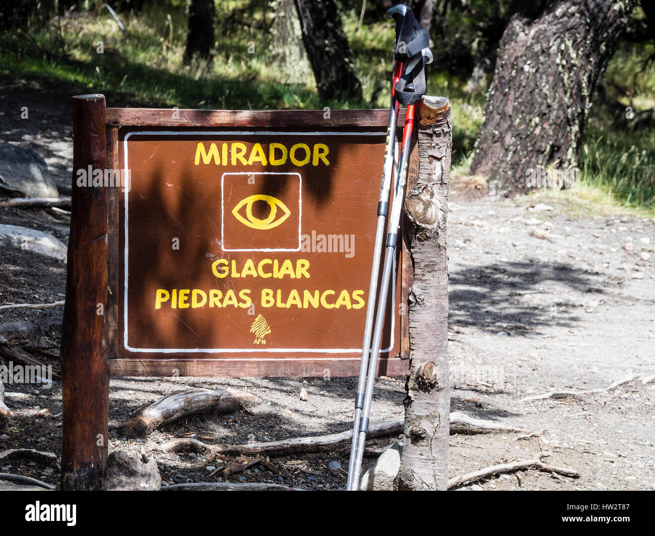 Ghiacciaio PIEDRAS BLANCAS, visto dal punto di vista su escursione da Hosteria El Pilar a Laguna de los Tres, El Chalten, parco nazionale Los Glaciares, Patagonia, Foto Stock