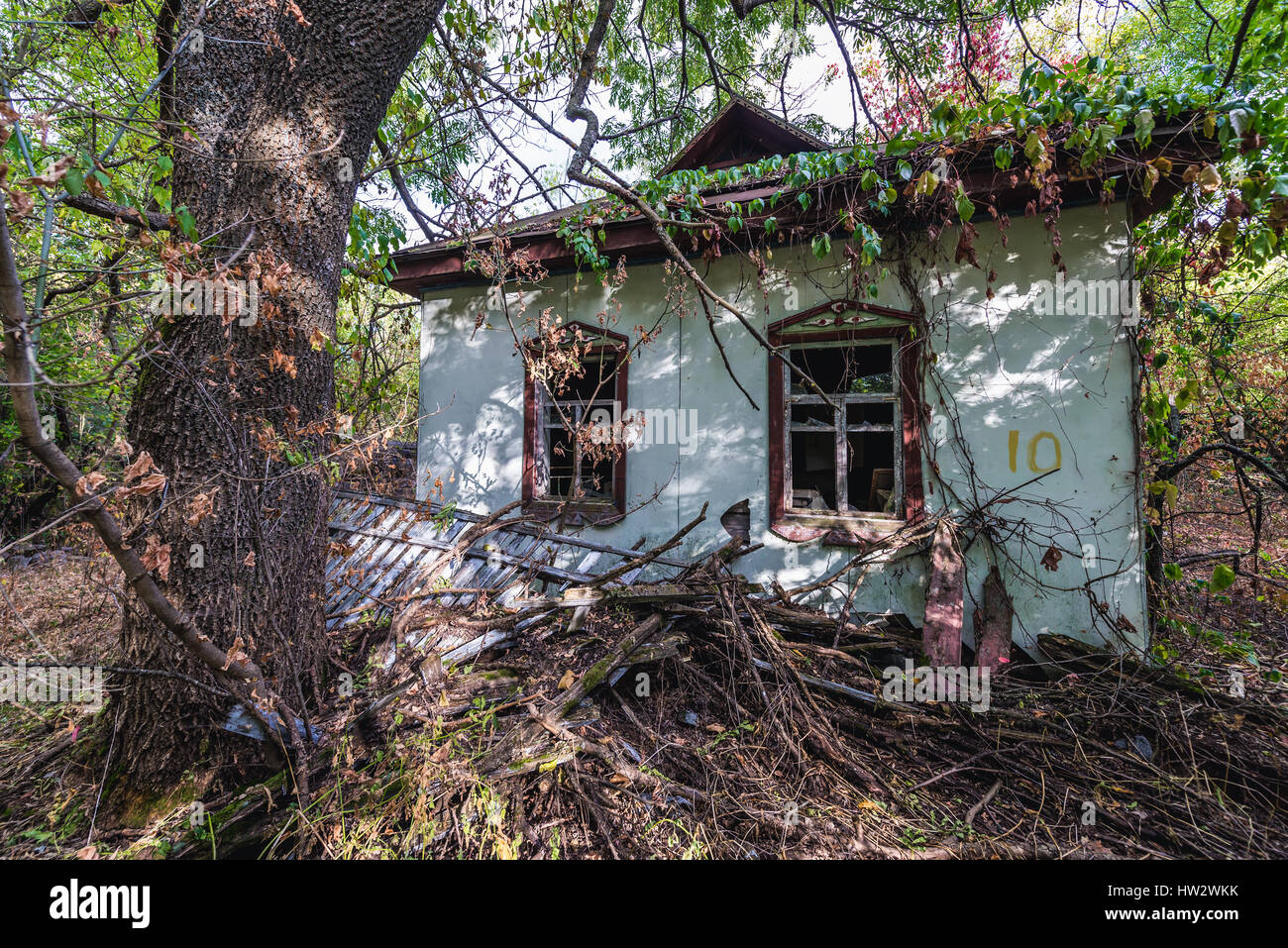 Cottage ricoperta in Krasne, uno dei villaggi abbandonati della centrale nucleare di Cernobyl la zona di alienazione intorno al reattore nucleare disastro, Ucraina Foto Stock