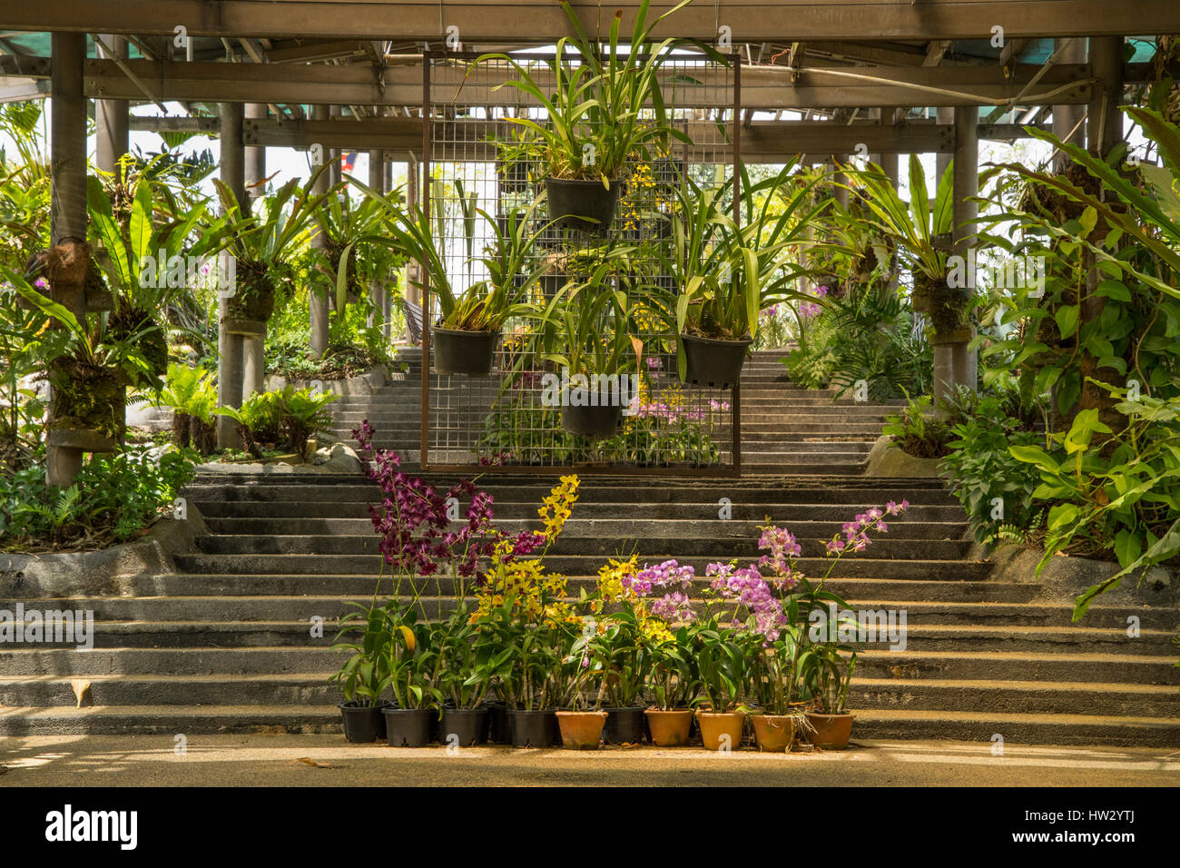 Orchid Garden, Kuala Lumpur, Malesia Foto Stock