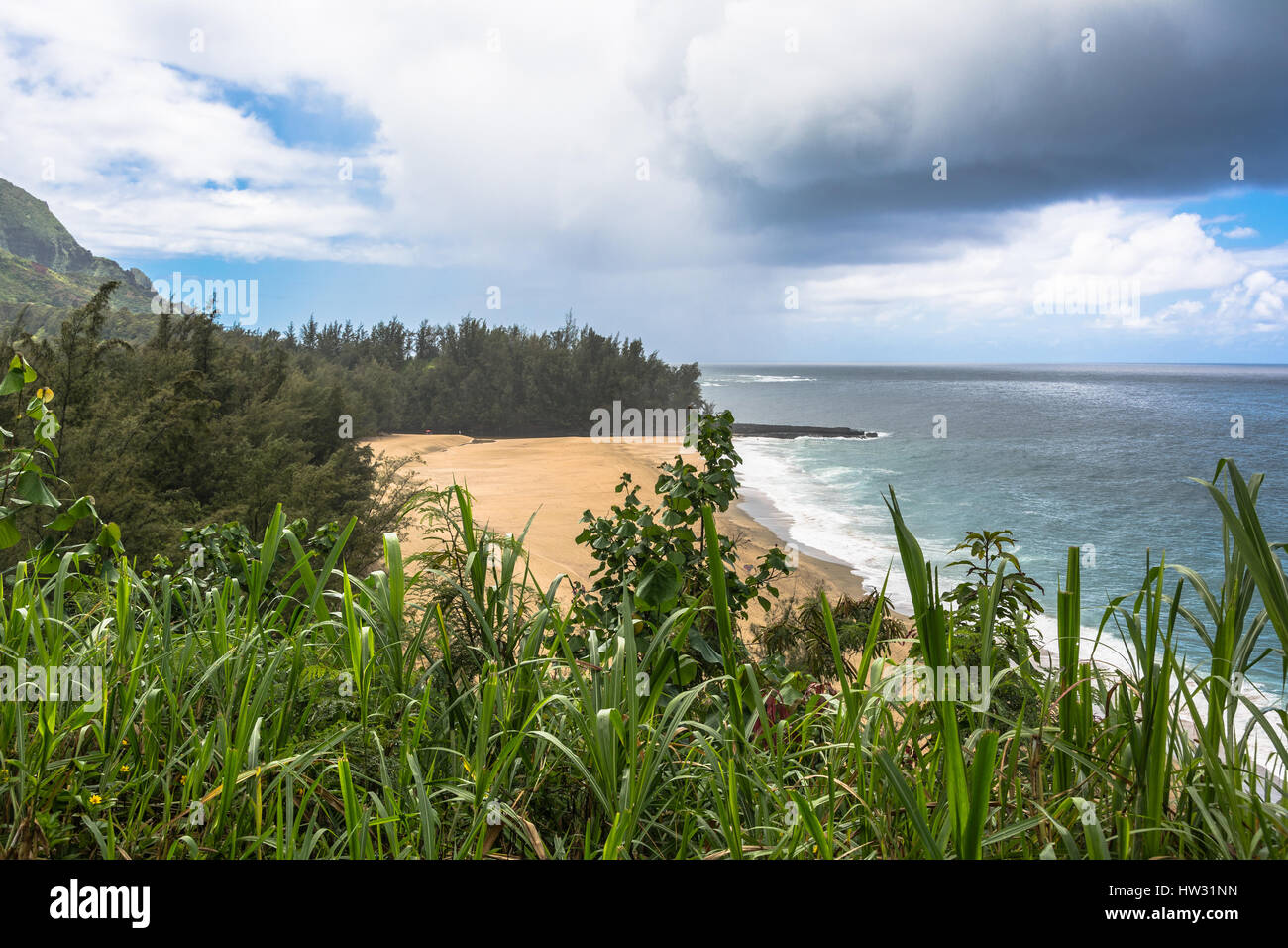 Spiaggia di sabbia e vegetazione lungo Hanalei Bay in Kauai, Hawaii Foto Stock