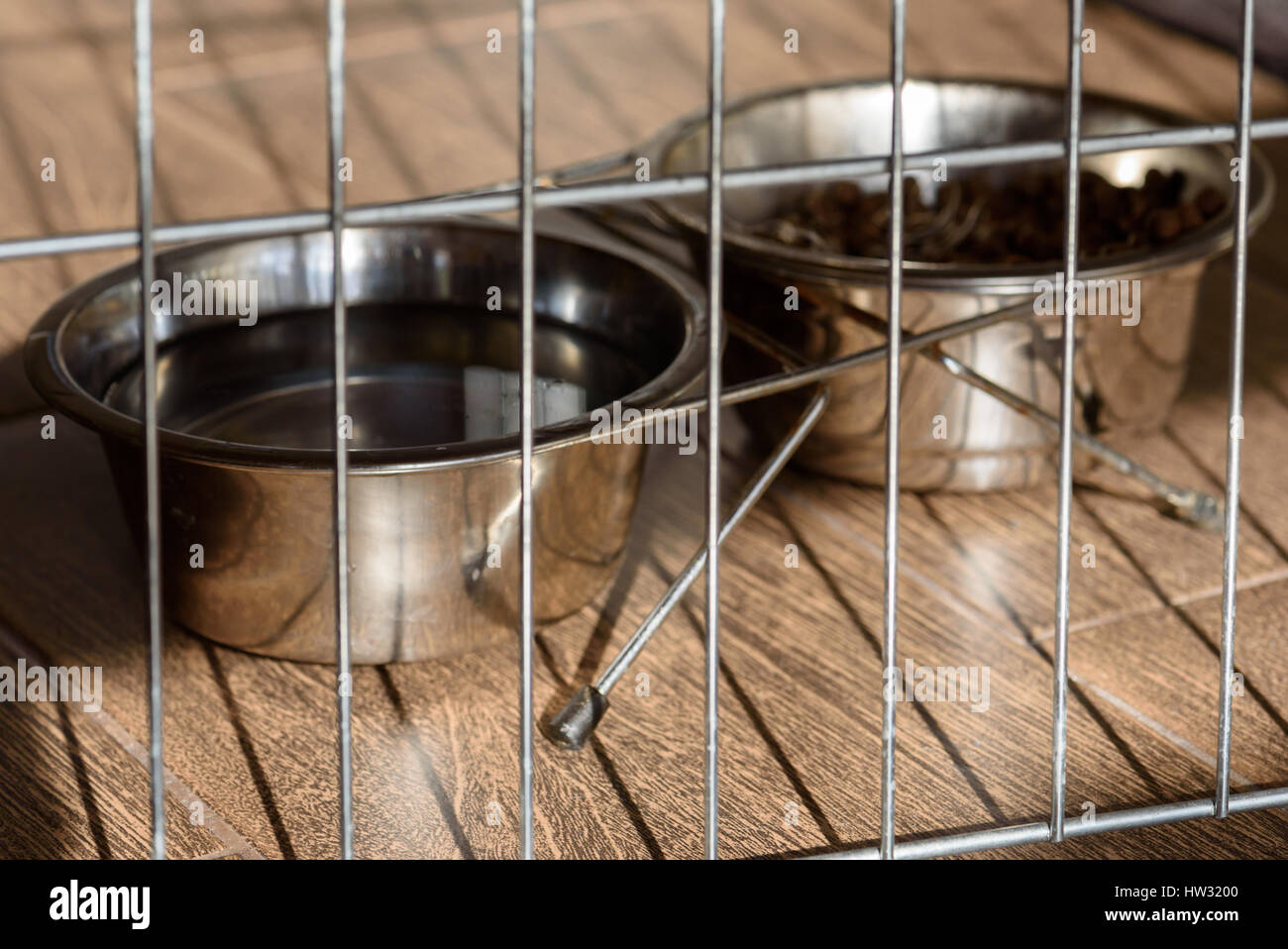 Doggy ciotole con cibo e acqua dietro la gabbia di canino bar Foto Stock