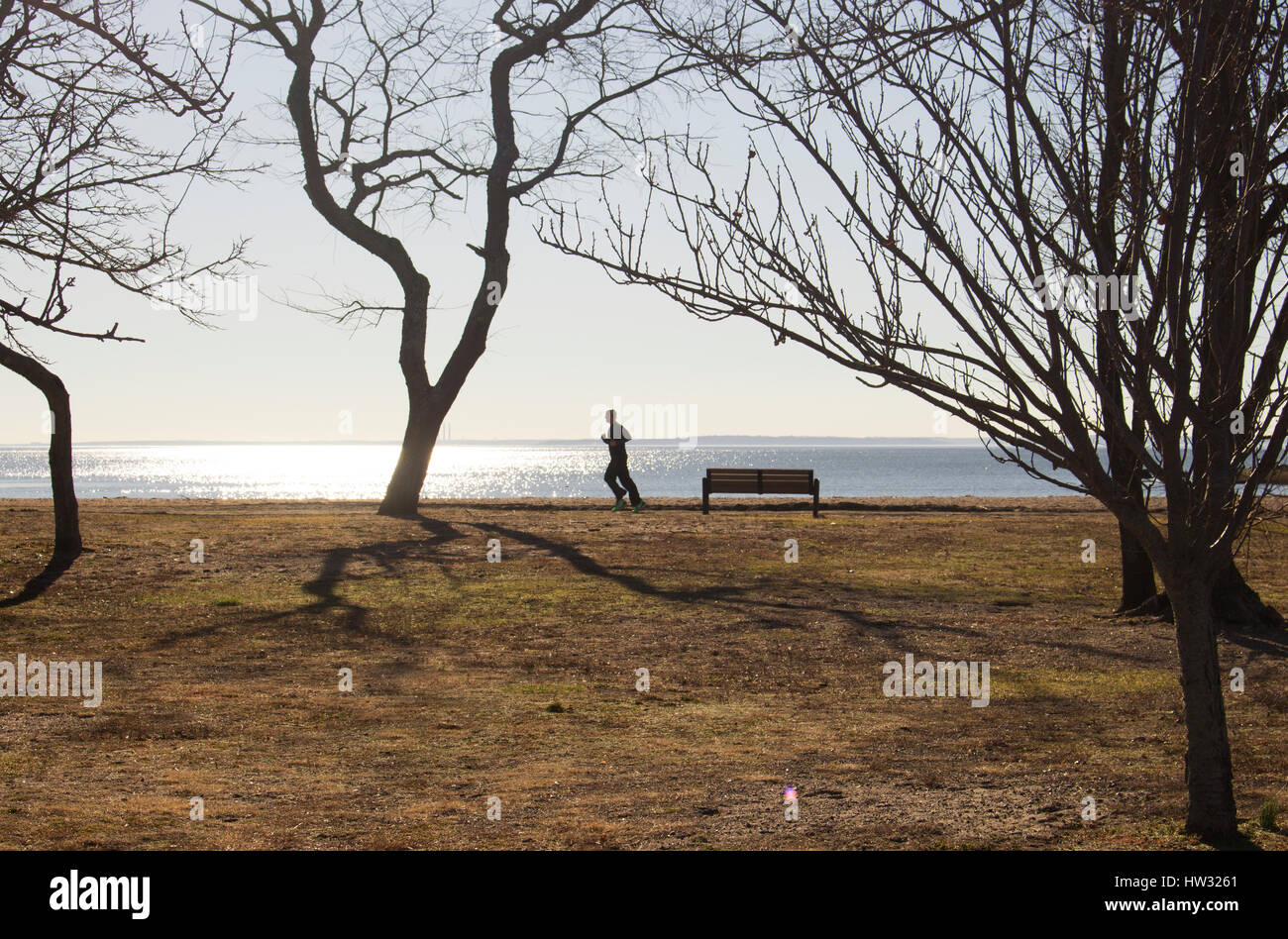 Stagliano uomo che corre dall'oceano circondato da alberi di stagliano Foto Stock