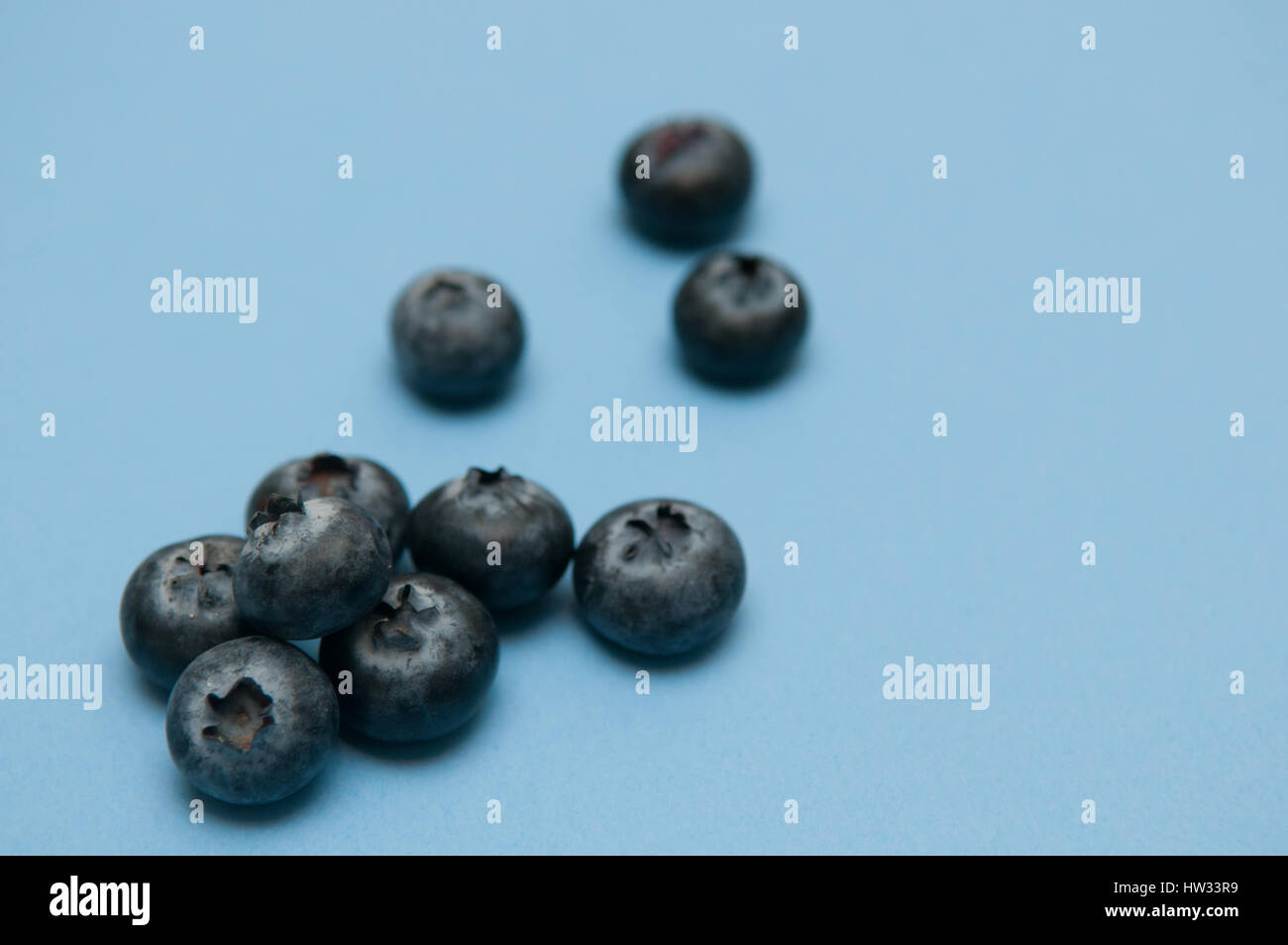 Mirtillo isolato sul blu, ricchi di sostanze antiossidanti Foto Stock