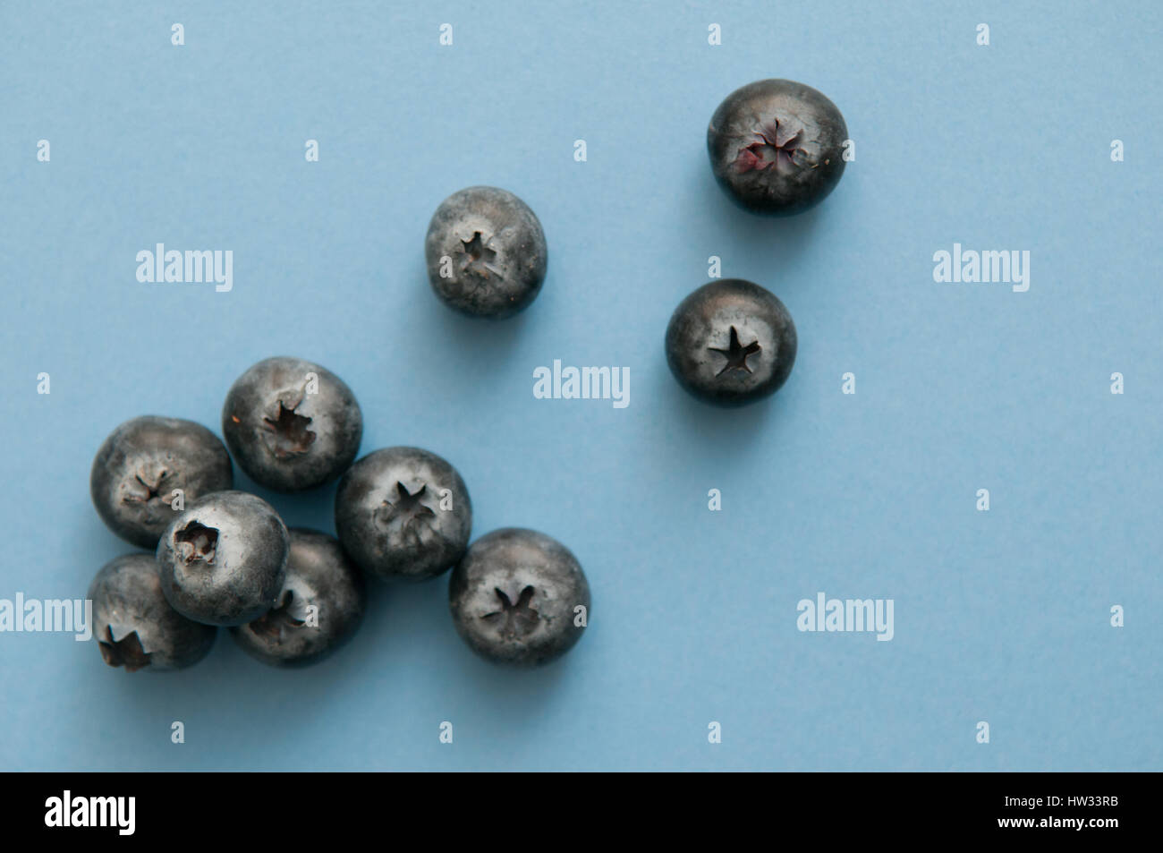 Mirtillo isolato sul blu, ricchi di sostanze antiossidanti Foto Stock