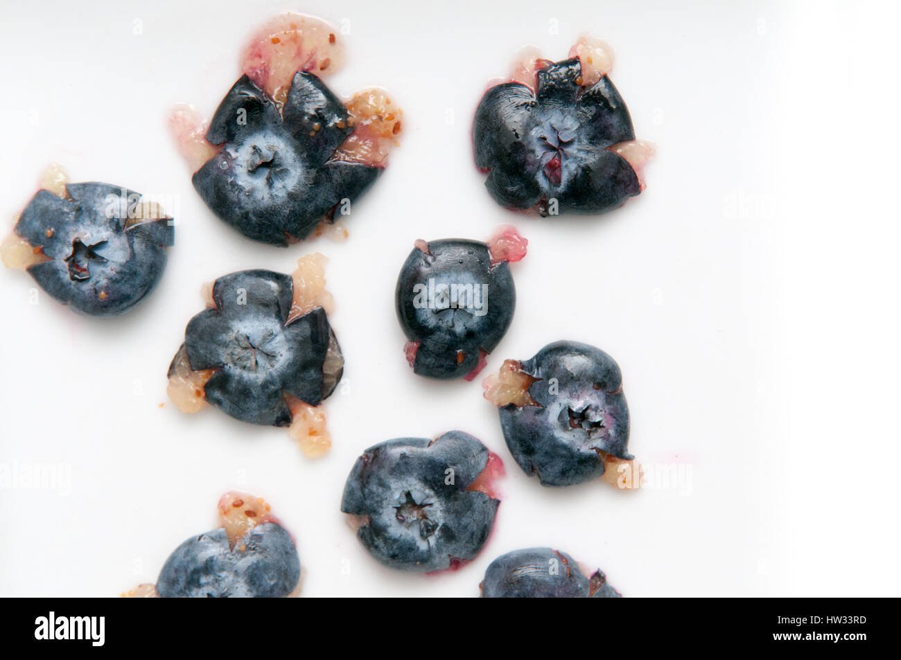 Mirtillo isolato sul blu, ricchi di sostanze antiossidanti Foto Stock