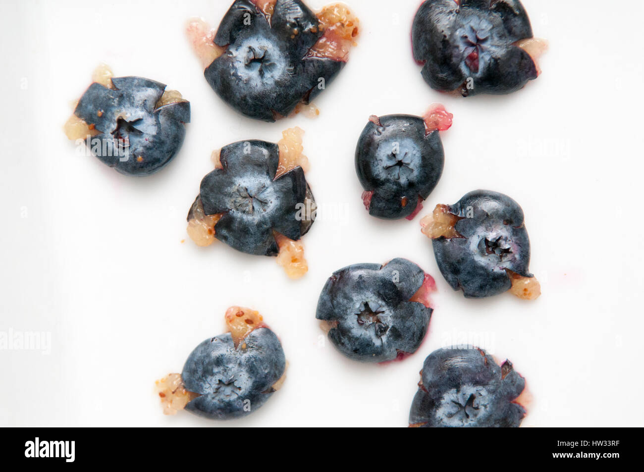 Mirtillo isolato sul blu, ricchi di sostanze antiossidanti Foto Stock