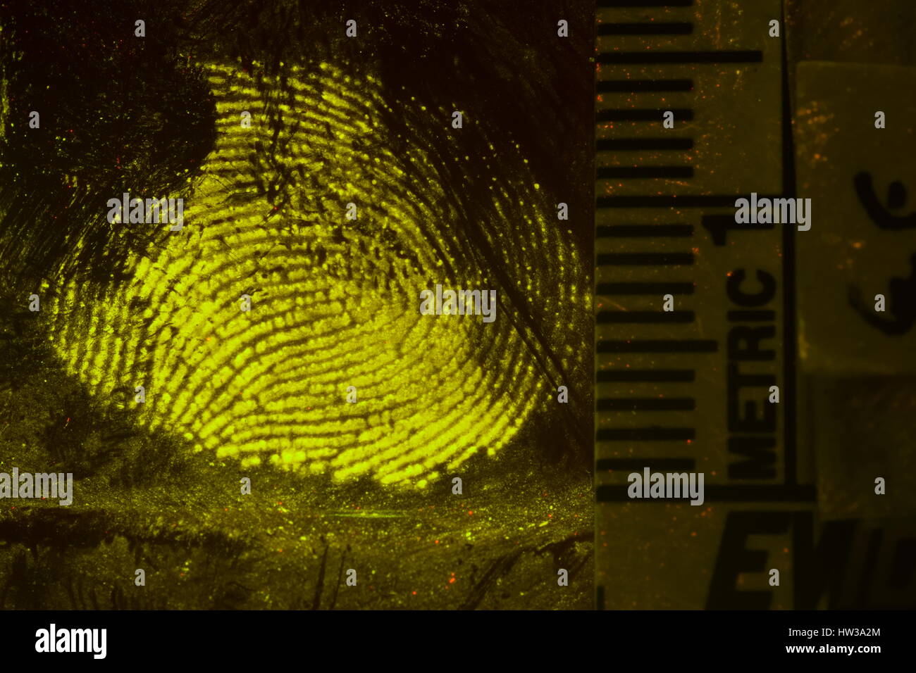 La fotografia macro di prodotti trasformati a base di impronte digitali Foto Stock