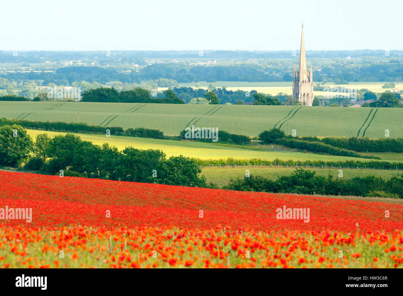 Il papavero-paesaggio di campo su Lincolnshire Wolds. St James Church Louth Lincolnshire in distanza. Foto Stock