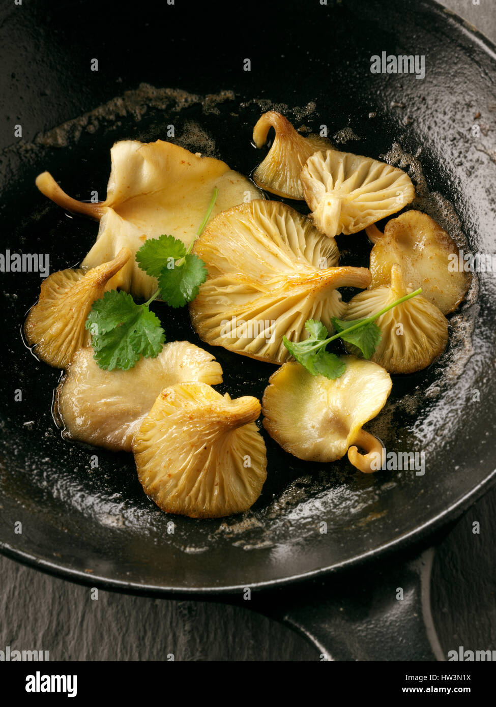 Giallo funghi oyster in padella con il burro in una padella Foto Stock