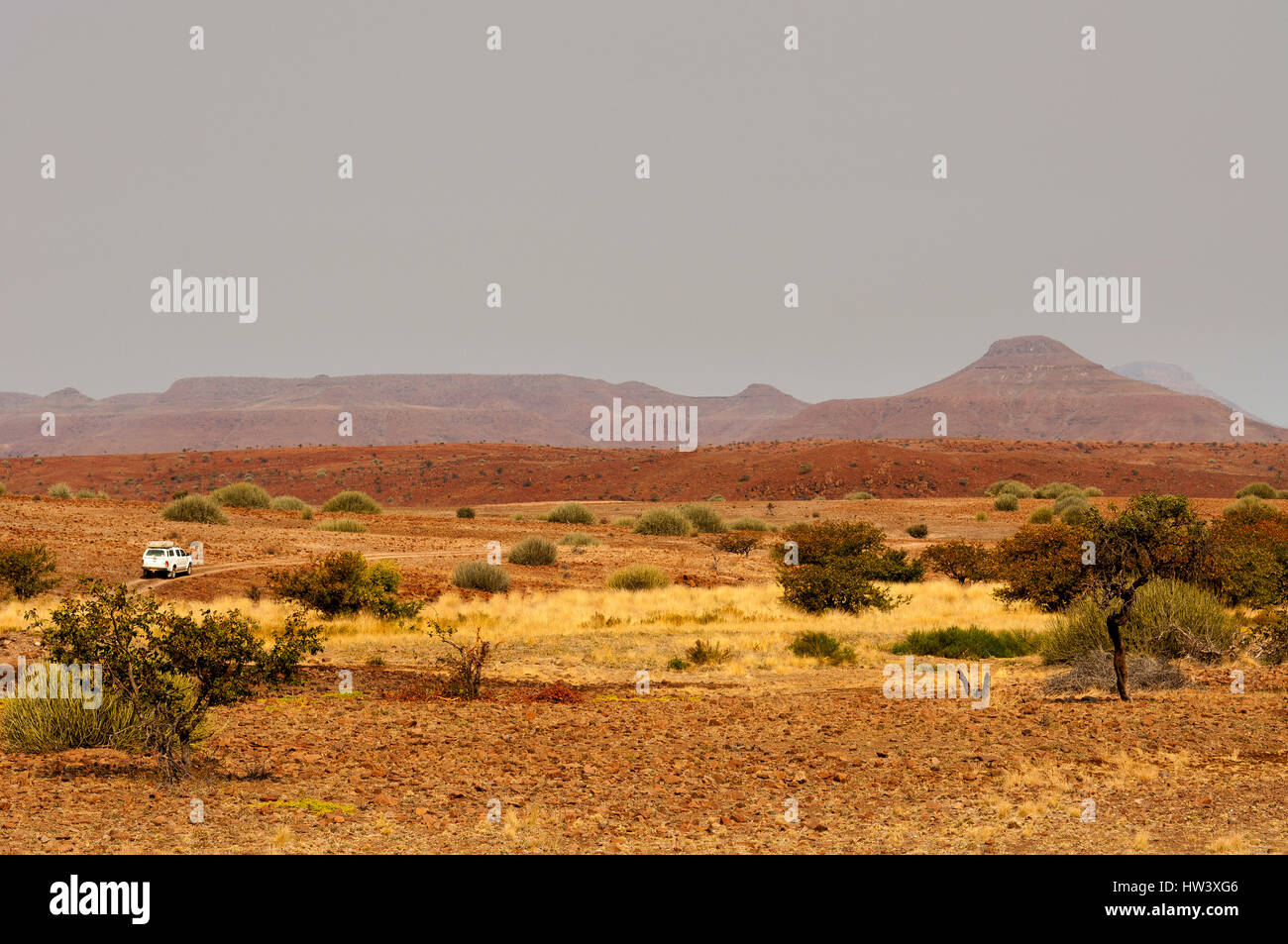 Auto turistiche esplorare Palmwag deserto Namibia settentrionale Foto Stock