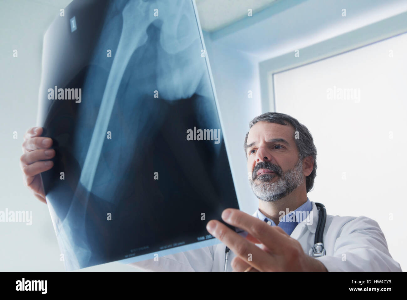 Medico di origine ispanica esaminando x-ray Foto Stock