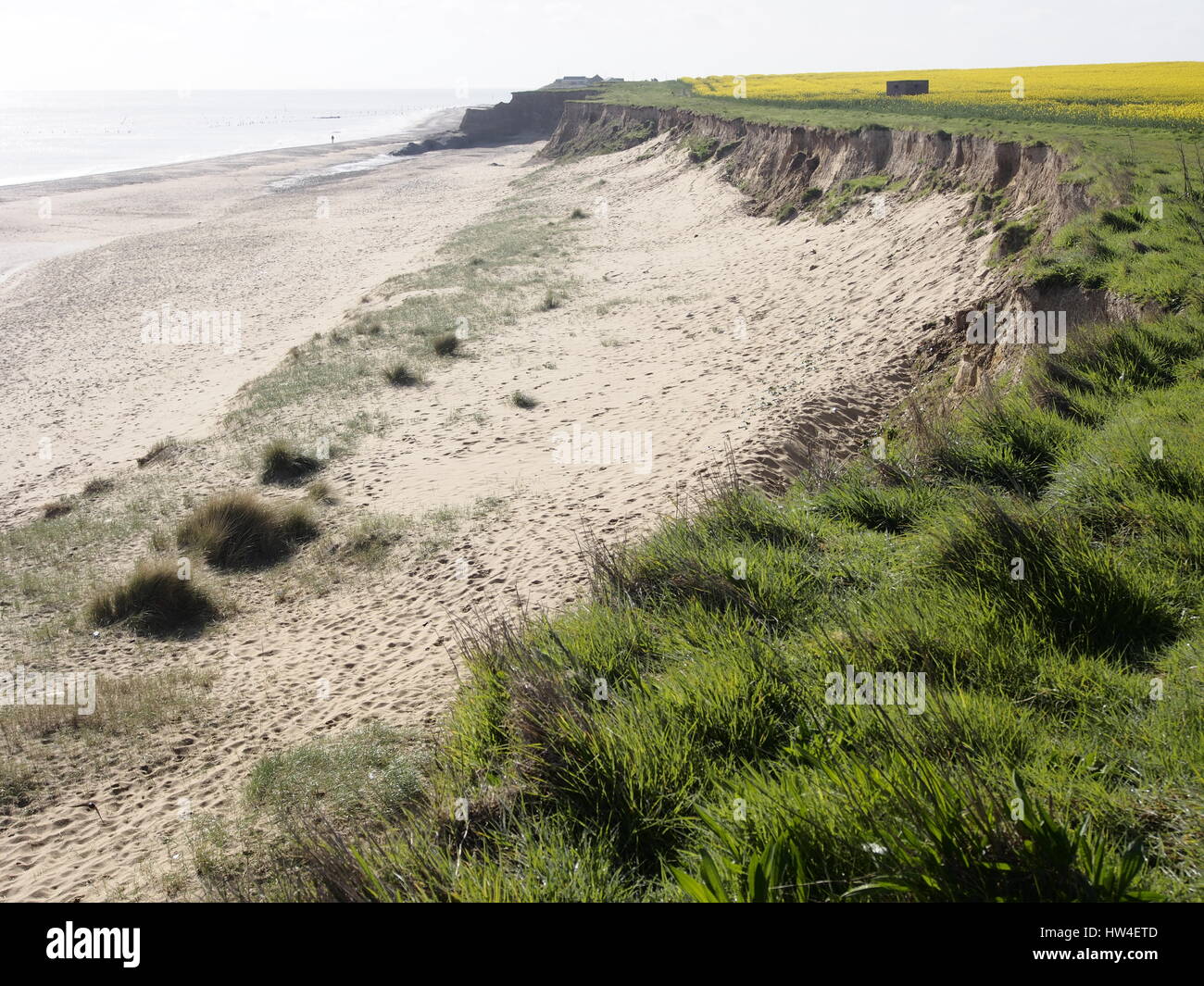 Vista del litorale in ritirata causati dall'erosione costiera, a happisburgh norfolk England Regno Unito Foto Stock