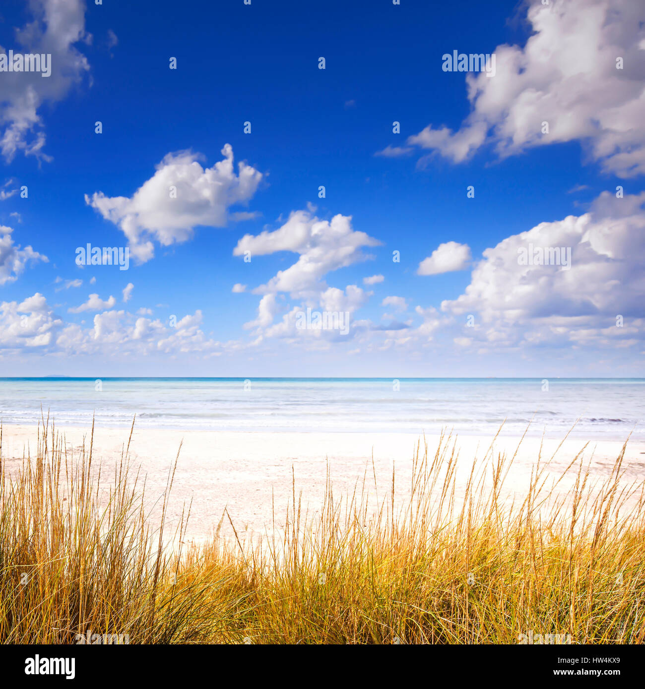 L'erba su un bianche dune di sabbia sulla spiaggia, sull'oceano e cielo blu su sfondo Foto Stock