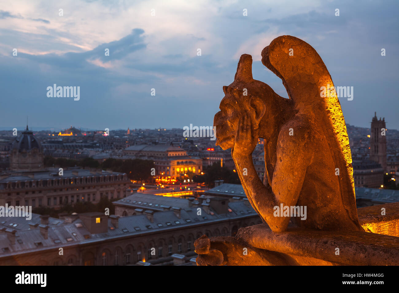 Parigi - luglio 15,2014: Gargoyle sul tetto della cattedrale di Notre Dame, la cattedrale di Parigi. Vista notturna dal tetto della cattedrale di Notre Dame de pari. Luglio 15,Parigi, Francia. Foto Stock