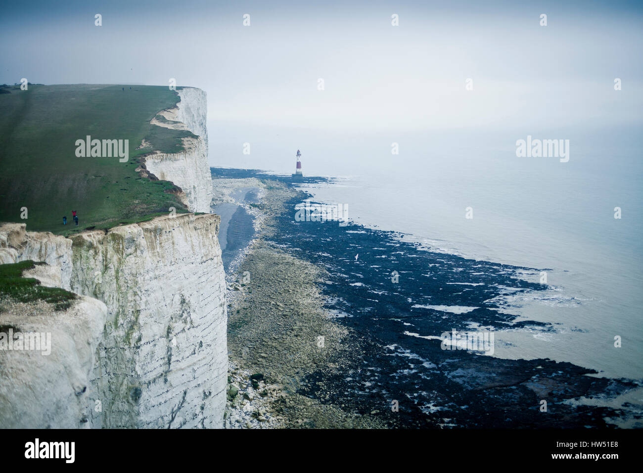 A destra sotto il Beachy Head scogliera si trova la Beachy Head Lighthouse che fu costruito in mare per evitare collisioni di nave quando il tempo è un nebbioso Foto Stock