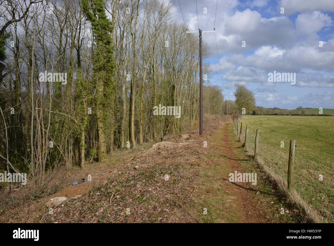 I pali dell'elettricità seguenti cutback di alberi che era diventato incolto causando un pericolo vicino a North Oxforshire villaggio di Hook Norton Foto Stock