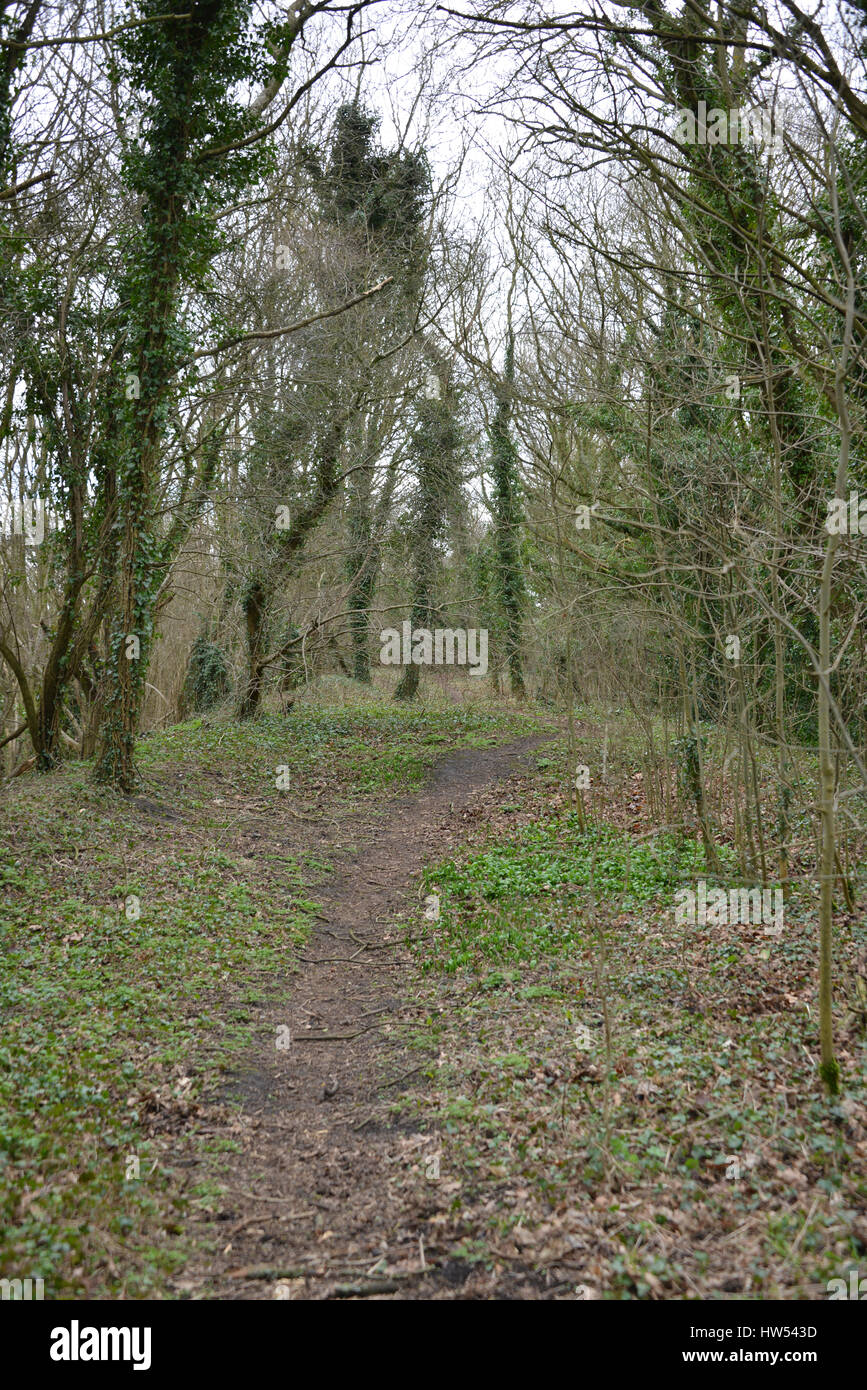 Ex linea ferroviaria ora un percorso vicino a North Oxfordshire village di gancio Norton Foto Stock