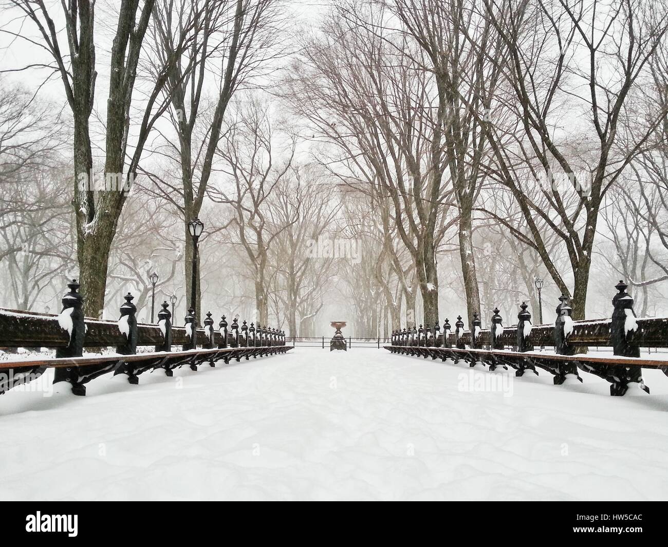 Tempesta di neve a Central Park, Manhattan, New York, America, STATI UNITI D'AMERICA Foto Stock