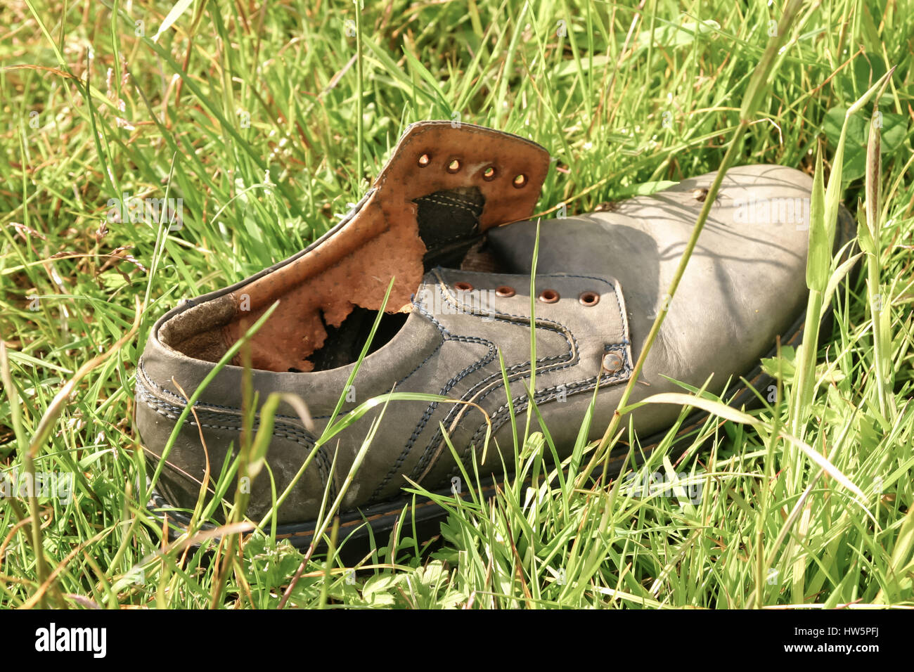 Vecchio pattino usurato, Donegal, Irlanda - 01 giugno 2007. Un vecchio, scartato scarpa. Foto Stock