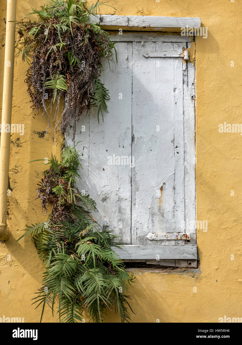 Vecchio edificio con persiane di legno chiusa su una finestra a St Thomas Isole Vergini Americane Foto Stock