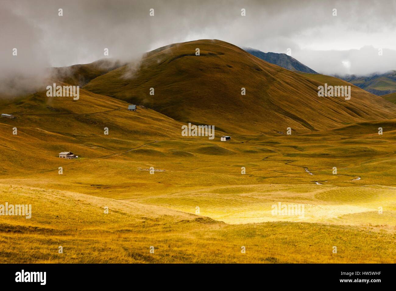 Francia, Isere, Parco Nazionale degli Ecrins, l'altopiano Emparis Foto Stock