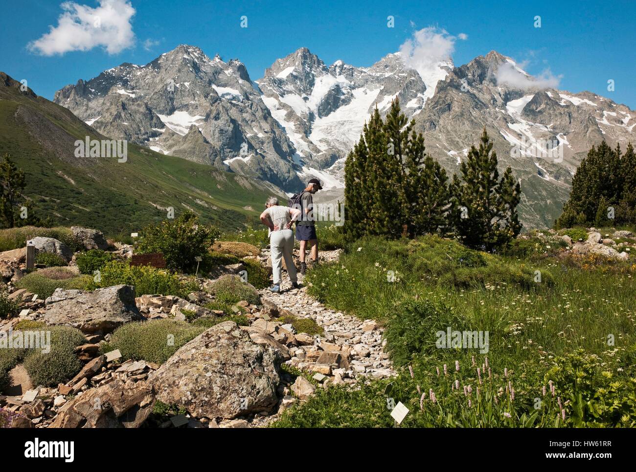 Francia, Hautes Alpes, Villar d'Arene, Lautaret pass (2058 m), il Giardino alpino del Lautaret Foto Stock