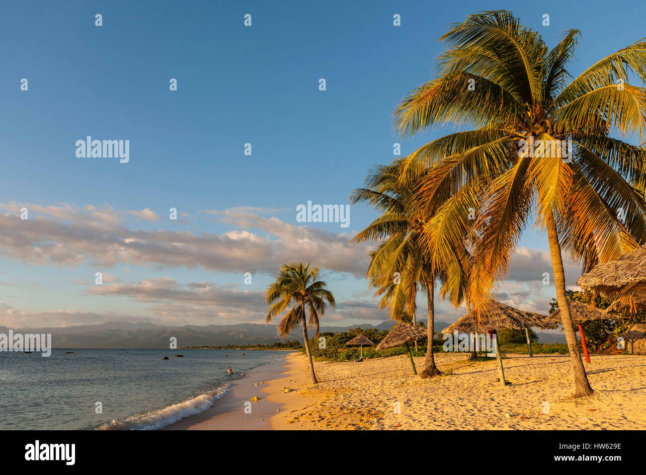 Cuba, Sancti Spiritus provincia, Trinidad de Cuba, palm Playa Ancon Foto Stock