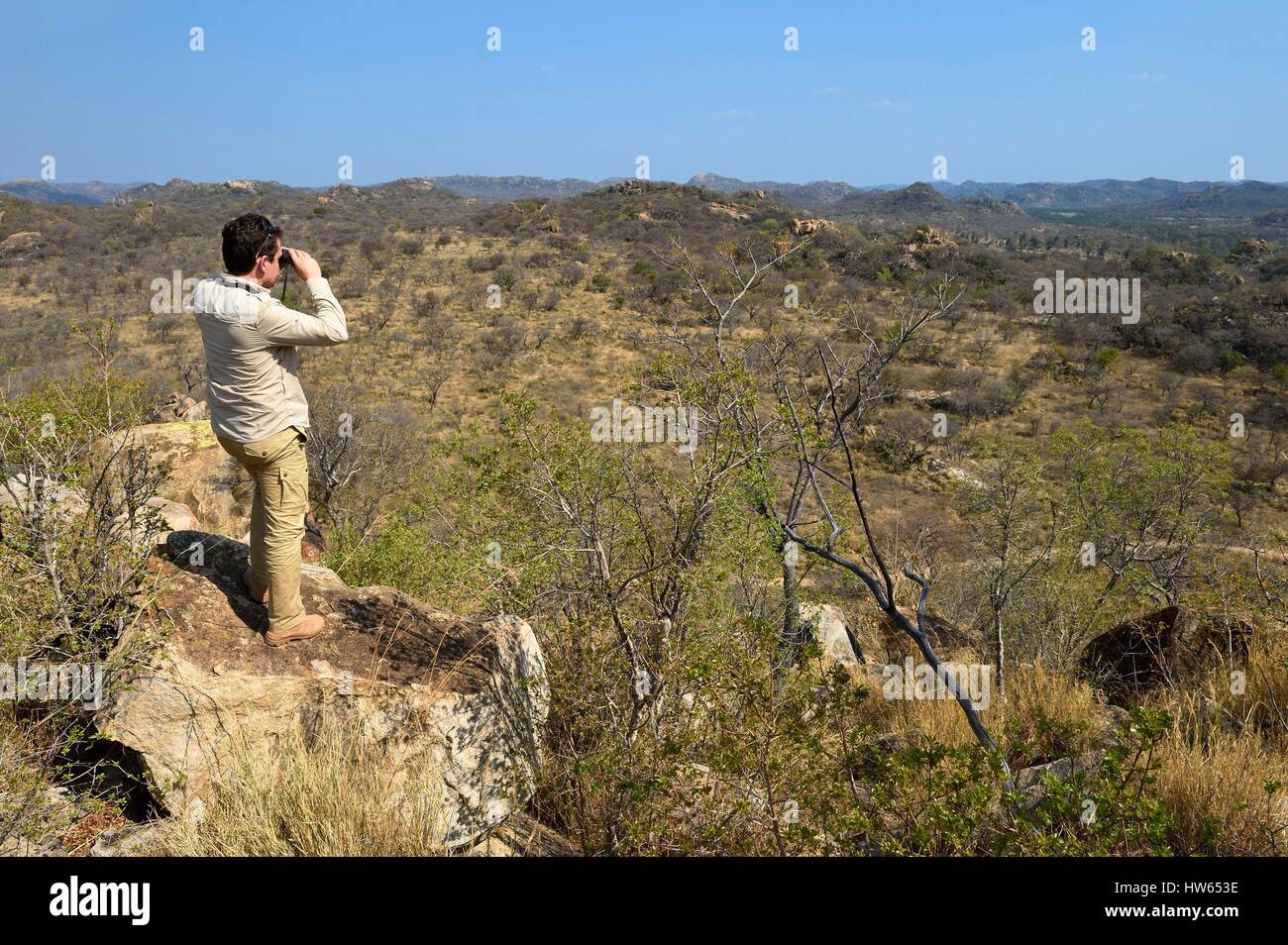 Lo Zimbabwe, Matabeleland South Provincia, o di Matobo Matopos Hills National Park, elencati come patrimonio mondiale dall' UNESCO, safari a piedi in cerca di rinoceronte bianco, guardando attraverso il binocolo Foto Stock