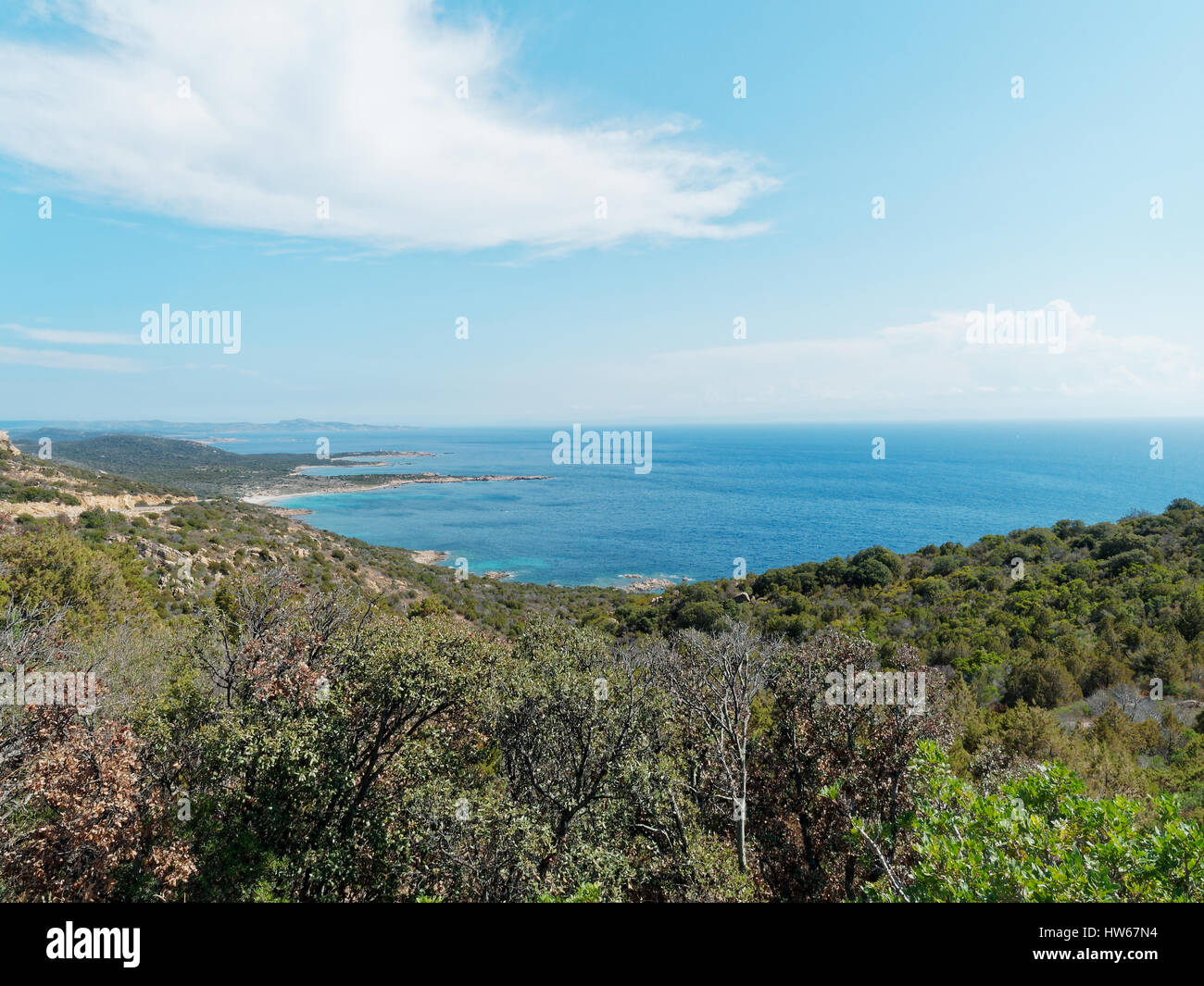 Vista della costa della Corsica vicino a Bonifacio denominato Reserve Naturelle des Bouches de Bonifacio, Corsica, Francia, Mediterranea Foto Stock