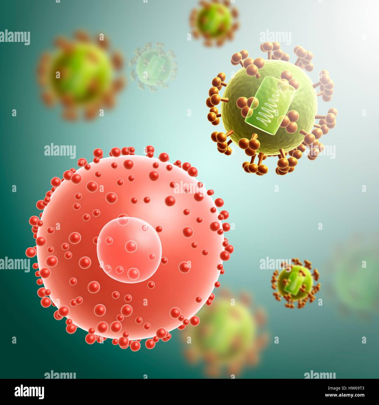 Illustrazione di una cellula infettata con il virus HIV. Foto Stock