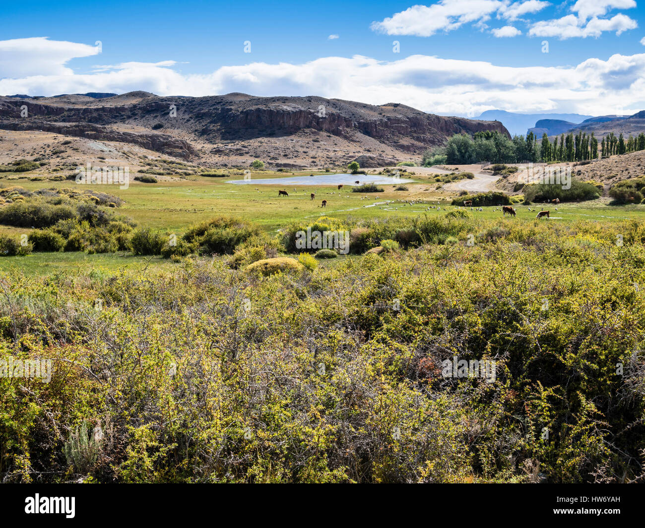 Arido paesaggio lungo la strada di ghiaia da ruta 40 in Argentinia alla frontiera di Paso Roballos, Patagonia, Argentinia Foto Stock