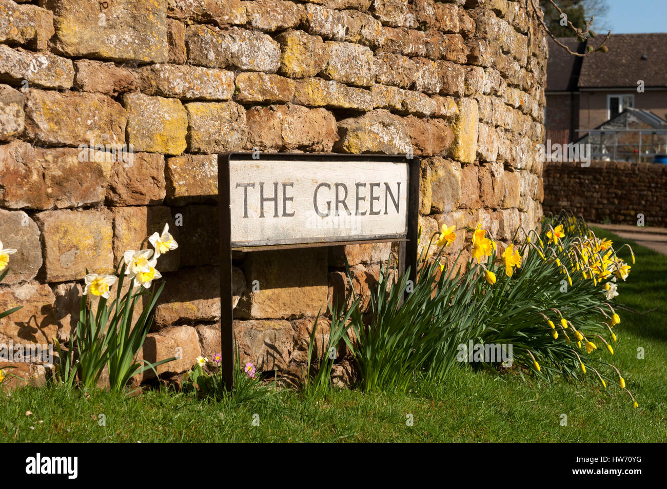 Il verde in primavera, Hornton, Oxfordshire, England, Regno Unito Foto Stock