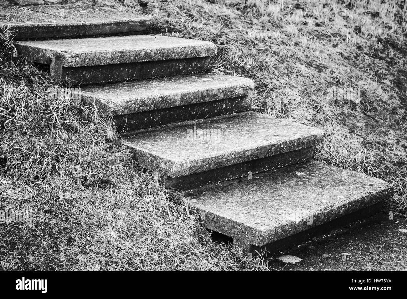 Vecchia scalinata in cemento sulla collina di erba, foto in bianco e nero Foto Stock