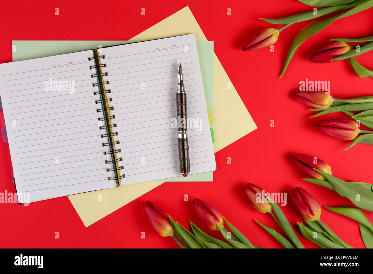 Aprire il documento notebook, schede di carta e penna su sfondo rosso con belle fresche mazzo di fiori tulipani Foto Stock