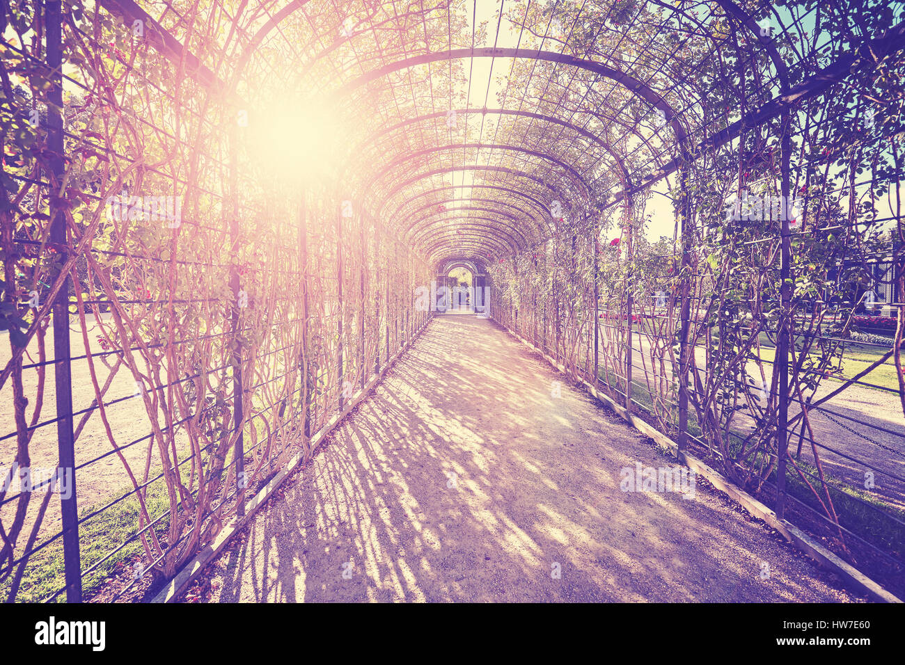 Il colore nei toni del giardino pergola tunnel con il percorso contro il sole. Foto Stock