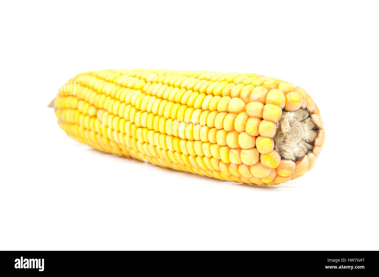 Il mais isolato su bianco. Una chiusura Foto Stock