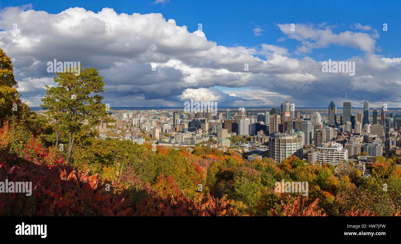 Canada, Provincia di Quebec, Montreal, vista sulla città e i suoi grattacieli dal punto di vista Kondiaronk sulla cima di Mount Royal Foto Stock
